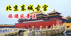 操骚逼又吃又舔视频中国北京-东城古宫旅游风景区